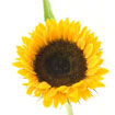 数字化转型必备的云呼电话测压网页版
